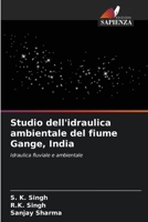 Studio dell'idraulica ambientale del fiume Gange, India (Italian Edition) 6209921507 Book Cover