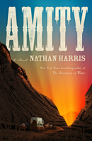Amity 0316456241 Book Cover