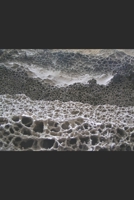 Dancing Ledge: Comedy Thriller 199974344X Book Cover