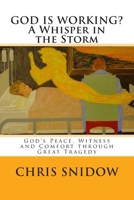 God Is Working? a Whisper in the Storm: God's Peace, Witness and Comfort Through Great Tragedy 1519331967 Book Cover