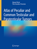 Atlas of Peculiar and Common Testicular and Paratesticular Tumors 3030196569 Book Cover