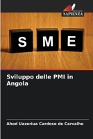 Sviluppo delle PMI in Angola 6206101290 Book Cover