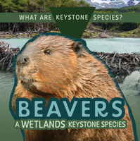 Beavers: A Wetlands Keystone Species (What Are Keystone Species?) 1499446535 Book Cover