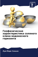 Геофизическая характеристика соляного клина водоносного горизонта 6205918951 Book Cover