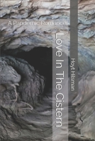 Love In The Cistern: A Pandemic Romance B086PTBDYQ Book Cover