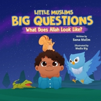 Little Muslims, Big Questions: What Does Allah Look Like? 1738282635 Book Cover