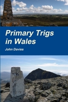 Primary Trigs in Wales 1291230483 Book Cover