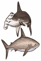 Shark Journal: high quality book spine thematic motif white paper, dotgrid 120 pages for your ideas Approx. DIN A5 (6 x9 inch) large 1654963887 Book Cover