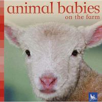 Animal Babies on the Farm 0753412829 Book Cover