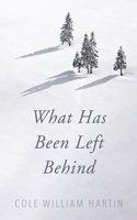 What Has Been Left Behind B0CTDTX9LF Book Cover