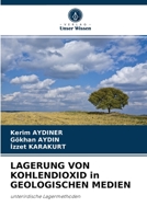 LAGERUNG VON KOHLENDIOXID in GEOLOGISCHEN MEDIEN: unterirdische Lagermethoden 6202819472 Book Cover