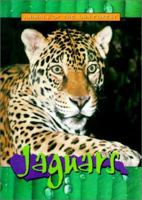 Jaguars (Animals of the Rain Forest) 073983102X Book Cover