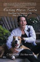 Raising Mario Twice: How Love Can Transform a Life After a Tragic Event 1440171785 Book Cover