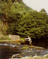 Trout and the Subsurface Fly 1853108723 Book Cover