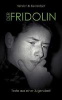 Der Fridolin: Texte aus einer Jugendzeit 3839184223 Book Cover