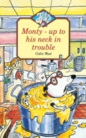 Jets: Monty up to his neck in trouble 0006743021 Book Cover
