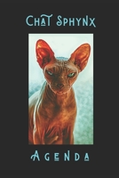 Chat Sphynx Agenda: Agenda hebdomadaire de planification avec Sphynx Chat Design. Il comprend �galement 24 pages de calendrier. Id�al pour rester organis�. Les amoureux des chats vont adorer ce planif 1708148027 Book Cover