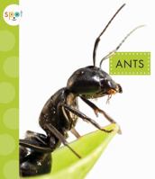 Ants 1681522233 Book Cover