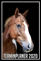Terminplaner 2020: Jahresplaner von September 2019 bis Dezember 2020 mit Pferd - Planer mit 174 Seiten in wei� im Format A5 mit gl�nzendem Soft Cover. 1704051754 Book Cover