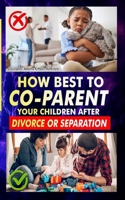 HOW BEST TO CO-PARENT YOUR CHILDREN AFTER DIVORCE OR SEPARATION: Your children do not have to suffer the consequences of your divorce decision. B0FMPRRZZT Book Cover