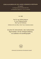 Ursachen für Unterschiede in den mechanischen Eigenschaften und der Gefügeausbildung von Gußeisen mit Lamellengraphit 3663065901 Book Cover
