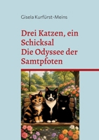 Drei Katzen, ein Schicksal: Die Odyssee der Samtpfoten (German Edition) 3696353388 Book Cover