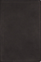 Nrsvue, Single-Column Reference Bible, Genuine Calfskin Leather, Black, Art Gilded Edges, Comfort Print 0310469171 Book Cover