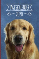 Tageskalender 2020: Terminkalender ca DIN A5 weiß über 370 Seiten I 1 Tag eine Seite I Jahreskalender I Golden Retriever I Hunde 170208325X Book Cover