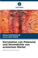 Korrelation von Potenzial und Stromdichte von armiertem Mörtel 6206381439 Book Cover