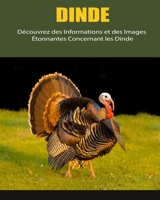 Dinde: Découvrez des Informations et des Images Étonnantes Concernant les Dinde B0BKJ3TPRV Book Cover