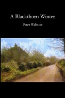 A Blackthorn Winter 1411681088 Book Cover