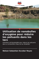 Utilisation de nanobulles d'oxygène pour réduire les polluants dans les lacs 6206978176 Book Cover