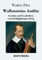 Wallensteins Antlitz 3743733226 Book Cover