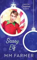 Sassy Elf (Omega Christmas Elves) B0CPSK9TRW Book Cover