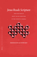 Jesus Reads Scripture: The Function of Jesus' Use of Scripture in the Synoptic Gospels 9004126597 Book Cover