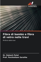 Fibra di bambù e fibra di vetro nelle travi (Italian Edition) 6630331982 Book Cover