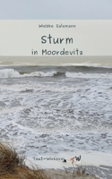 Sturm in Moordevitz: Ein Krimi zum großen Sturmhochwasser an der Ostsee 1872 (German Edition) 3347922492 Book Cover