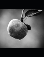 Selected "Robotic" Works OF Nihil List Christo B0DR1JXQS5 Book Cover