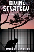 DIVINE STRATEGY: The Hidden Wisdom of God B0C1J3J5NR Book Cover