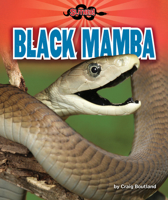 Black Mamba 1647471036 Book Cover