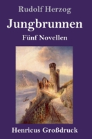Jungbrunnen (Großdruck) (German Edition) 3743731193 Book Cover
