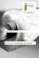 Dans les Coulisses du Sahel 6202291346 Book Cover