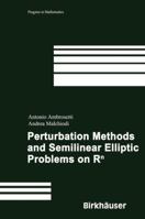 Pertubation Methods And Semilinear Elliptic Problems On Rn 3764373210 Book Cover
