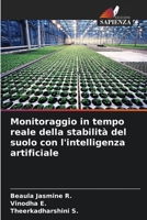Monitoraggio in tempo reale della stabilità del suolo con l'intelligenza artificiale (Italian Edition) 6208051940 Book Cover