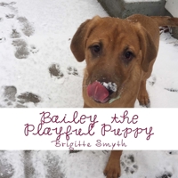 Bailey The Playful Puppy Picture Book 1523953543 Book Cover