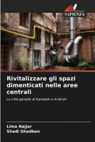 Rivitalizzare gli spazi dimenticati nelle aree centrali 6202346914 Book Cover