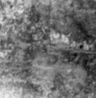 KCMO Decay 1715131959 Book Cover