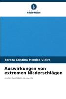Auswirkungen von extremen Niederschlägen (German Edition) 6208218675 Book Cover