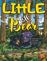 LIttLE BIG Bear: A Clumsy Bear fell fast asleep... While playing a game of hide and seek 194543239X Book Cover