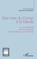 Des rives du Congo à la Meuse: La transnationalité dans le cycle belge de José Tshisungu wa Tshisungu (Critiques Littéraires) (French Edition) 234301065X Book Cover